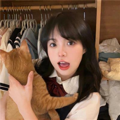 鸡密真相